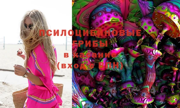 каннабис Михайловка