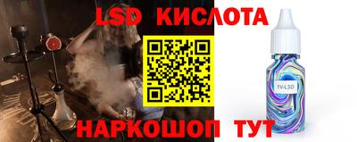 apvp Нальчик