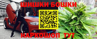 амф Новозыбков