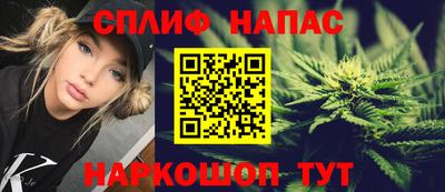 apvp Нальчик