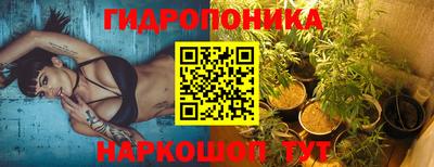 apvp Нальчик