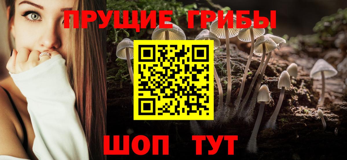 Псилоцибиновые грибы Magic Shrooms  Вход с VPN  Пыть-Ях 