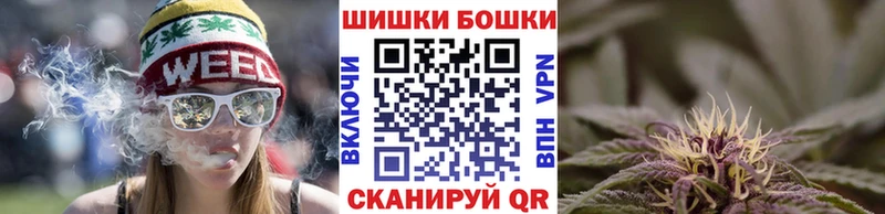 Бошки Шишки гибрид  купить наркотики сайты  кракен ТОР  Пыть-Ях 